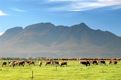 Inligtingsdag op Outeniqua Navorsingsplaas